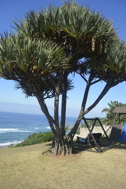 Beach Retreat Guesthouse Аманцимтоти Екстериор снимка